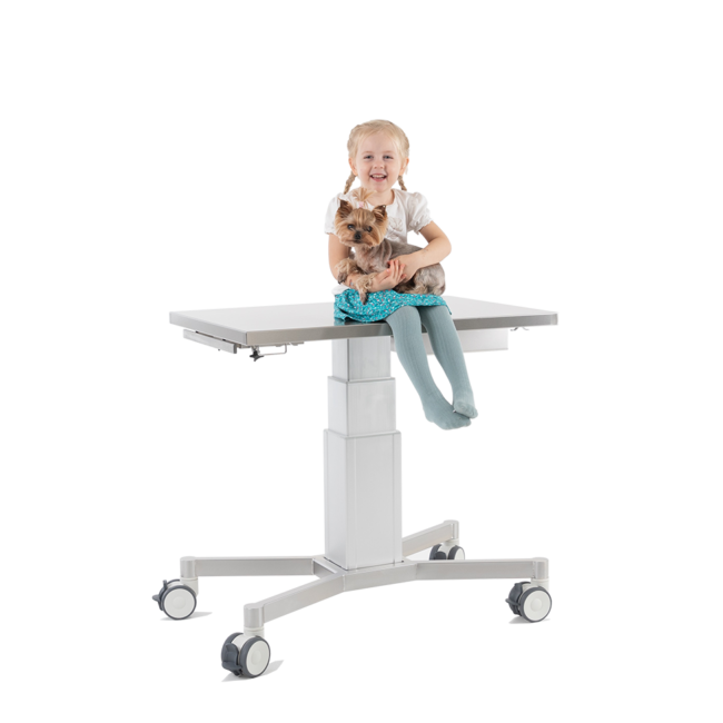 Hanna läbivaatuslaud